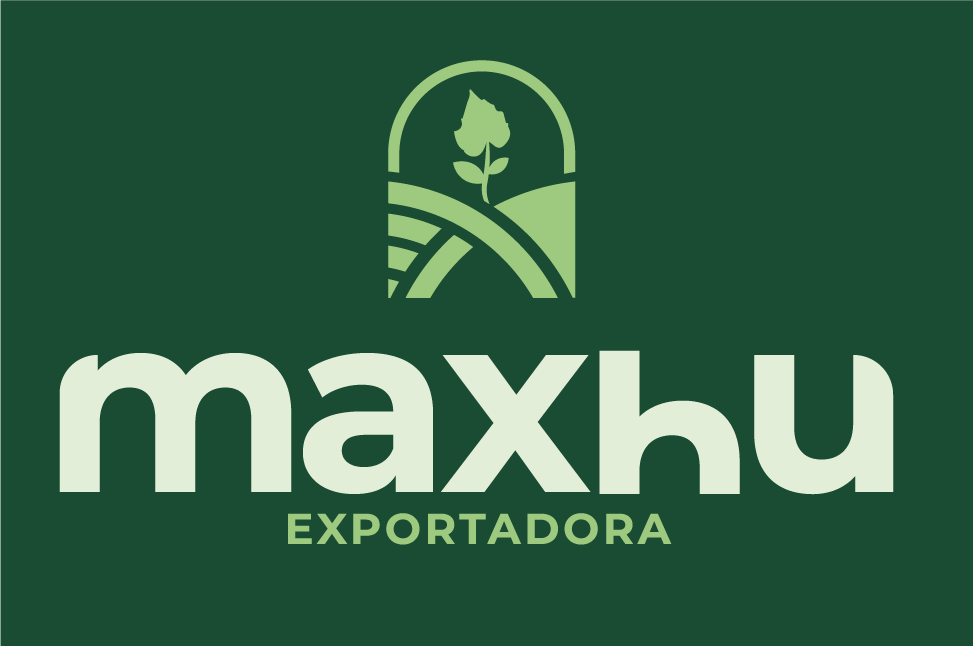 Pepinillos fermentados Maxhu de alta calidad